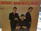 introducing the beatles