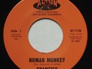 Garage Psych SF Bay FRANTICS Human Monkey / Someday NM ACTION Moby Grape 45 HEAR