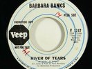 Barbara Banks 