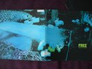 Free ?– Tons Of Sobs * LP * TOPZUSTAND * Paul Rodgers + Paul Kossoff ++++++++++