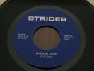 Strider 45 She's In Love One More Chance private Detroit rock 7
