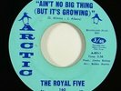 Royal Five 
