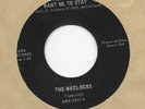 The Warlocks 
