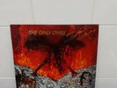 The Only Ones - Only Serpents Shine (CBS 83451) EX/EX