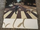 Paul McCartney 