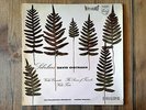 Philips SABL195 - Sibelius - Violin Concerto - David OISTRAKH -Eugene ORMANDY NM