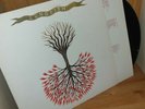 Lungfish Love Is Love LP Dischord VGC