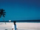 Steve Hiett - Down On The Road By The Beach (Remastered Gatef.) Vinyl LP Be NEW
