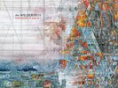 Explosions In The Sky THE WILDERNESS +MP3s & ART PRINT New Etched Vinyl 2 LP