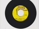 PANTHER/ DOWN COMES THE RAIN - ROY COUSINS & THE ROYALS (71 REGGAE ROCKERS 7