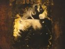 Pantera - Far Beyond Driven Vinyl LP2 Rhino NEW