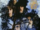 Stalk-Forrest Group - The Stalk-forrest Group [Used Very Good Vinyl LP