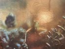 Steely Dan - Katy Lied. Vinyl Record. 1980 Platinum Plus Reissue. near mint