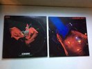 Japan Import LPs - SCORPIONS Tokyo Tapes W/ Insert  & Best 2 12