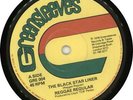 Reggae Regular 7
