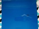 ISIS -12.17.04- Live 2xLP- UNPLAYED- 2006- Clear Vinyl (LTD 350)- Profound Lore