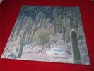 Hunter Complex:   Heat    2013  NEW SEALED   LP