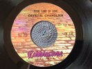 CRYSTAL CHANDLIER - SUICIDAL FLOWERS rare US 1969 DEMO PROMO / PSYCH FUZZ / MINT