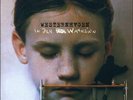 Marius Müller-Westernhagen - In Den Wahnsinn (2xLP, Album)