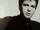 Peter Gabriel ?– So Virgin ?– PG 5 Vinyl, LP, Album Ex Ex