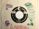 Snotty Scotty & Hankies: Horny w/Rare Sleeve VG+ Synth Punk KBD New Wave *HEAR*