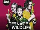 Teenage Wildlife - 25 Years of Ash - Ash (12