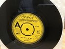 The Turtles-She’d Rather Be With Me/The Walking Song LONDON PROMO HL10135