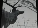 Agalloch - The Mantle Lim. Edition 500 Stk. Re-Release Grau aus 2012 white Vinyl
