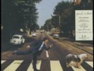 PAUL MCCARTNEY: PAUL IS LIVE (LP vinyl *BRAND NEW*.)