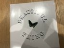 the stone roses vinyl Beautiful Thing