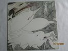 Rudimentary Peni Echoes Of Anguish  Outer Himalayan Records BOOBOO6 Import UK