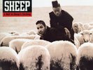 Black Sheep - A Wolf In Sheep's Clothing '91 LP US ORG  Q-Tip Chi-Ali