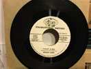 George Jones Promo 45 Family Bible Taggin’ Along, Mercury