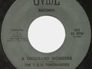 T.S.U. Toronadoes TSU RARE TX Northern/Funk A Thousand Wonders ? OVIDE NM