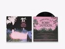 Ariel Pink   Dedicated To Bobby Jameson vinyl LP (Mexican Summer)