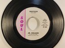 Jr. Walker & The All Stars 