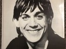 Iggy Pop - Lust For Life LP on RCA Victor, APL1-2488 - New Zealand pressing