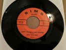 Funk Soul 45 Kelly Brothers Can't Stand It No Longer / Crying Days Are Over SIMS