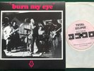 RADIO BIRDMAN   Burn My Eye UK 1987 Total Eclipse 1st edition  7