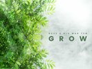 BCee & Blu Mar Ten - Grow // Vinyl 12