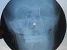JOHNNY CASH - I WALK THE LINE - USSR GEORGIAN X-RAY ROENTGEN SKULL BONES RECORD