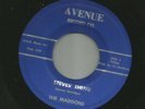 SURF ROCKABILLY INSTRO- MADISONS - STEVES' THEME  -HEAR -1966 RITE AVENUE
