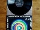 LP DAEVID ALLEN 