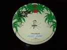 FREDDY CLARK / I ROY Troubles /I am JUNGLE BEAT Roots / Dub Very Scarce