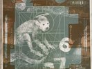 PIXIES Doolittle LP 180 Gram VINYL MFSL Limited #ed Mobile Fidelity