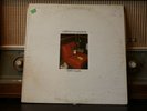 Terry Allen -  Lubbock On Everything Vinyl LP