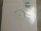 Thy Primordial ?– Pestilence Upon Mankind (RARE VINYL TEST PRESSING)