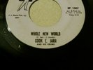COOK E JARR  WHOLE NEW WORLD  PRINCE  EX