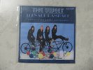 THE SWEET TEENAGE RAMPAGE