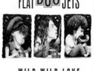FLAT DUO JETS: WILD WILD LOVE [LP vinyl]